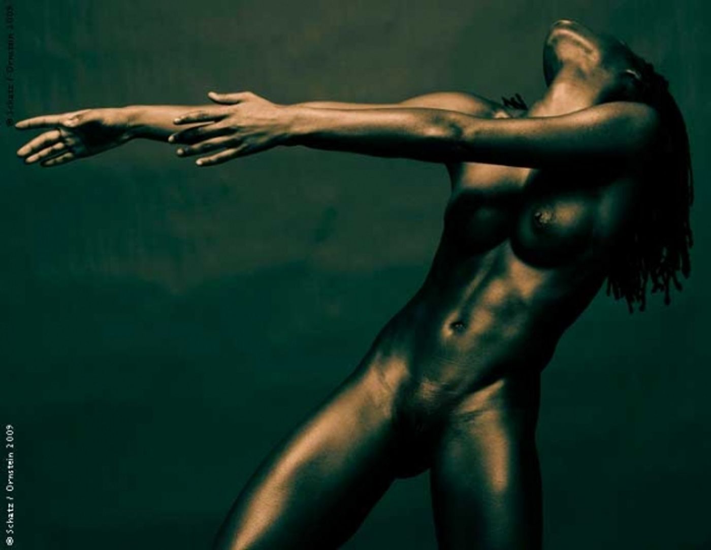 Photo Flash: Photographer Howard Schatz Captures the Exquisite Bodies of Dancers  Image