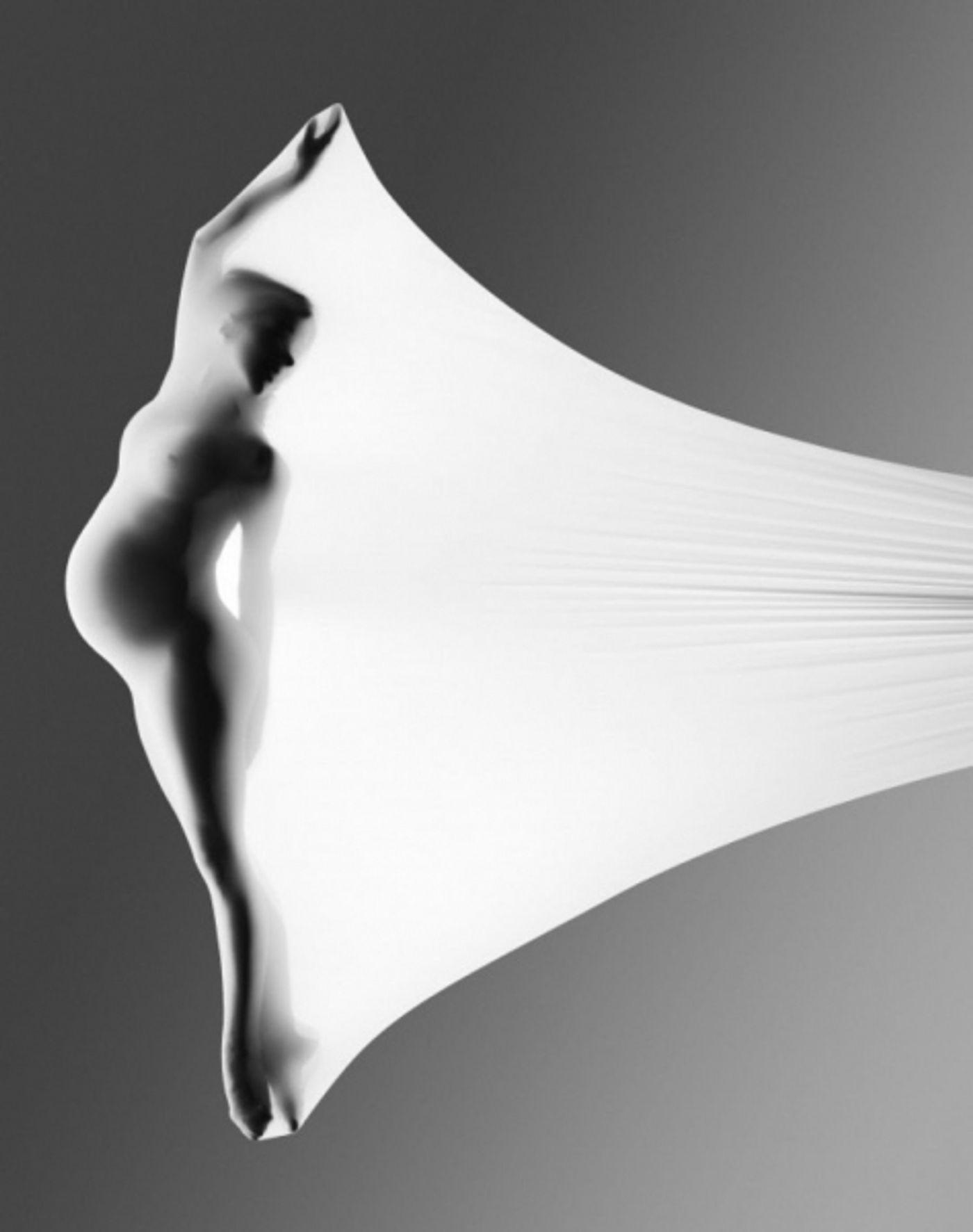 Photo Flash: Photographer Howard Schatz Captures the Exquisite Bodies of Dancers  Image