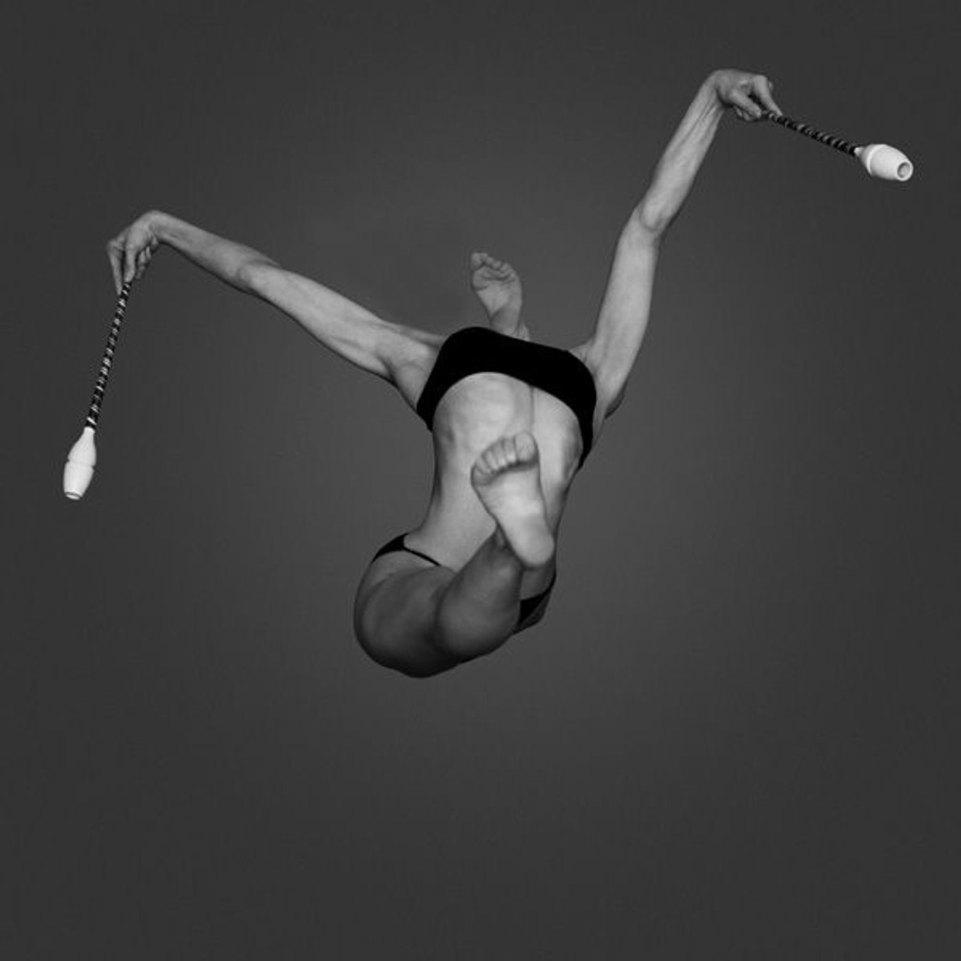 Photo Flash: Photographer Howard Schatz Captures the Exquisite Bodies of Dancers  Image