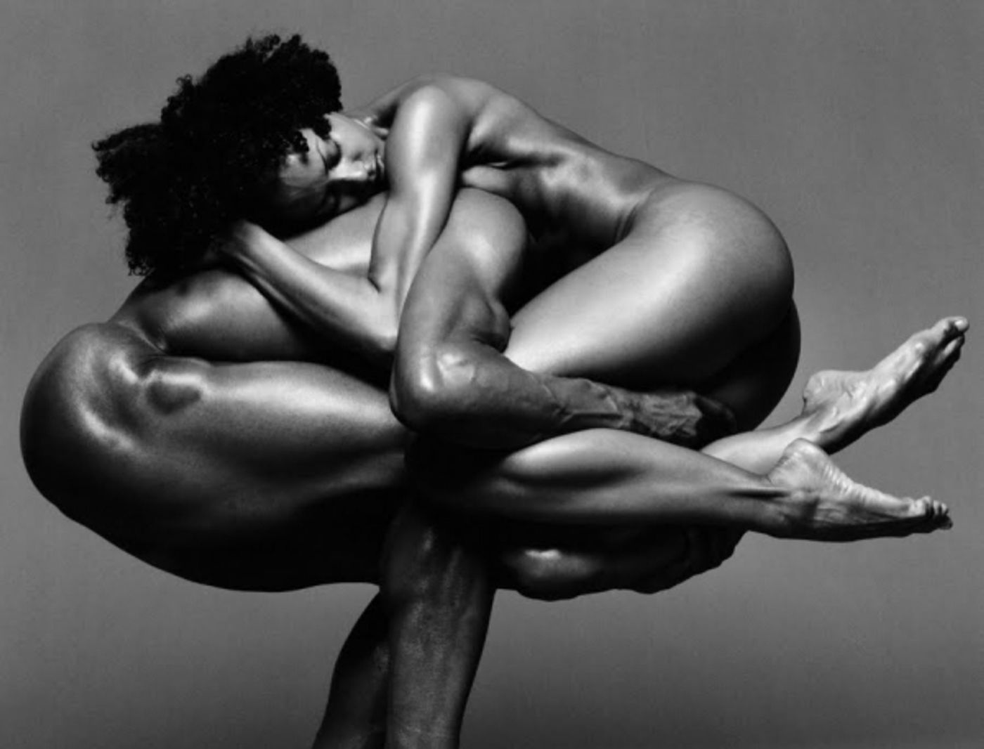 Photo Flash: Photographer Howard Schatz Captures the Exquisite Bodies of Dancers  Image
