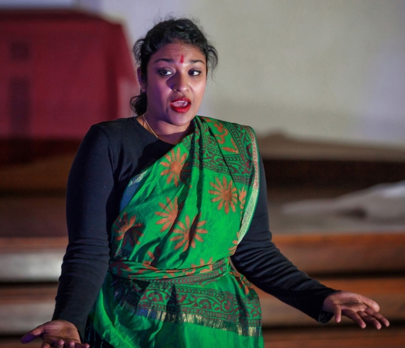 Photo Flash: Chicago DanzTheatre's BINDIS AND BRUISES  Image