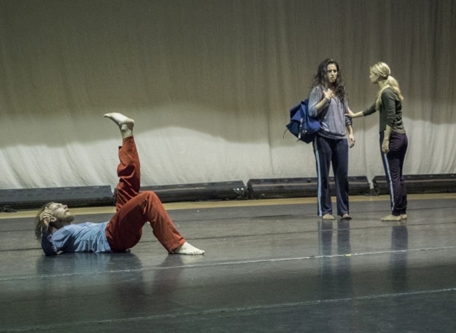 Photo Flash: First Look at Dancers in Rehearsal for Vim Vigor Dance Company's SEPARATI Image