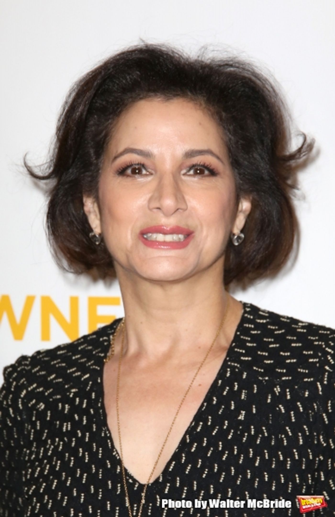 Photo Coverage: On the Red Carpet for the World Premiere of AMERICAN MASTERS: MIKE NICHOLS Photo Coverage: On the Red Carpet for the World Premiere of AMERICAN MASTERS: MIKE NICHOLS Image