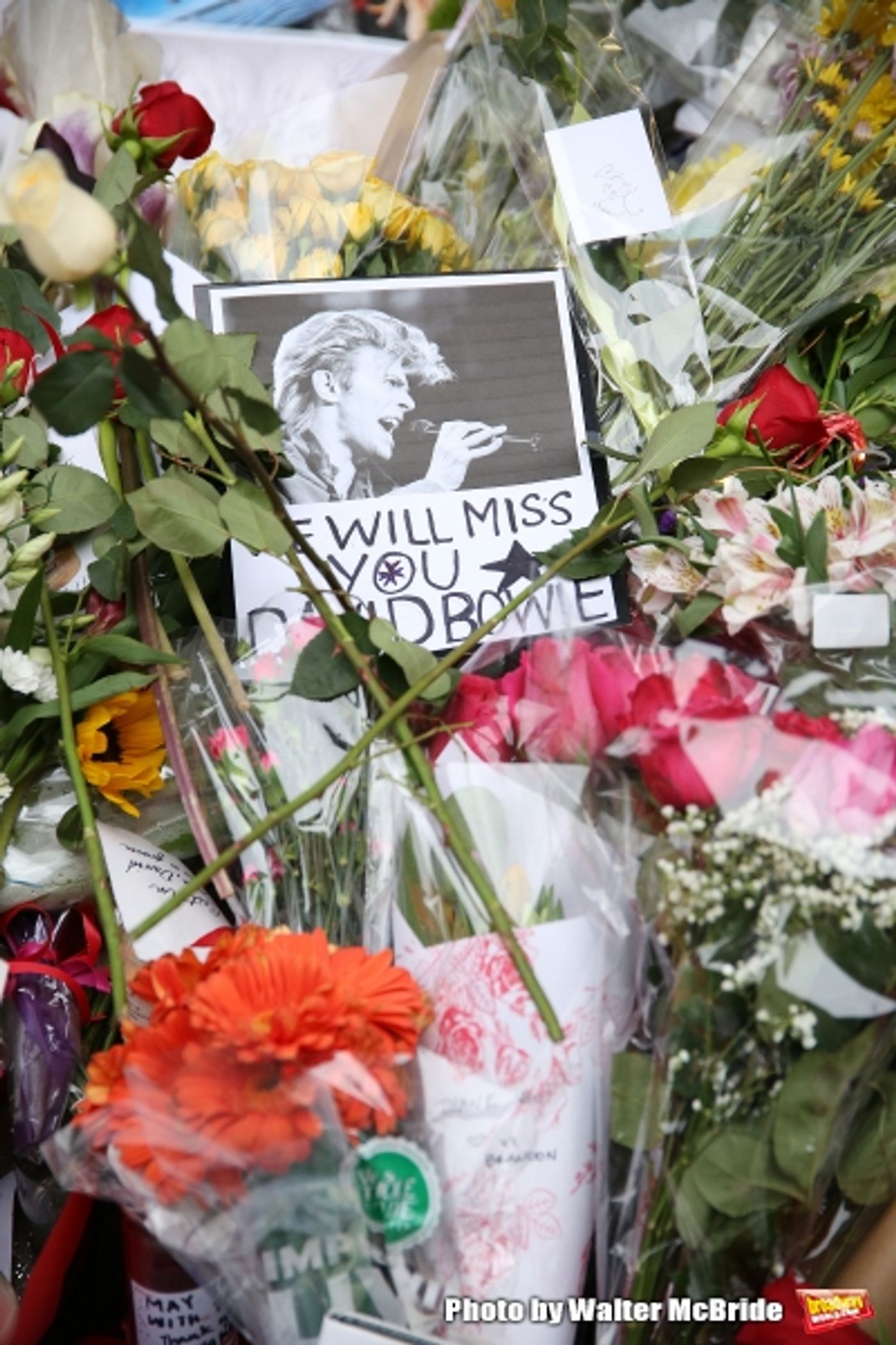 Photo Coverage: Fans Tribute David Bowie Outside of LAZARUS Photo Coverage: Fans Tribute David Bowie Outside of LAZARUS Image