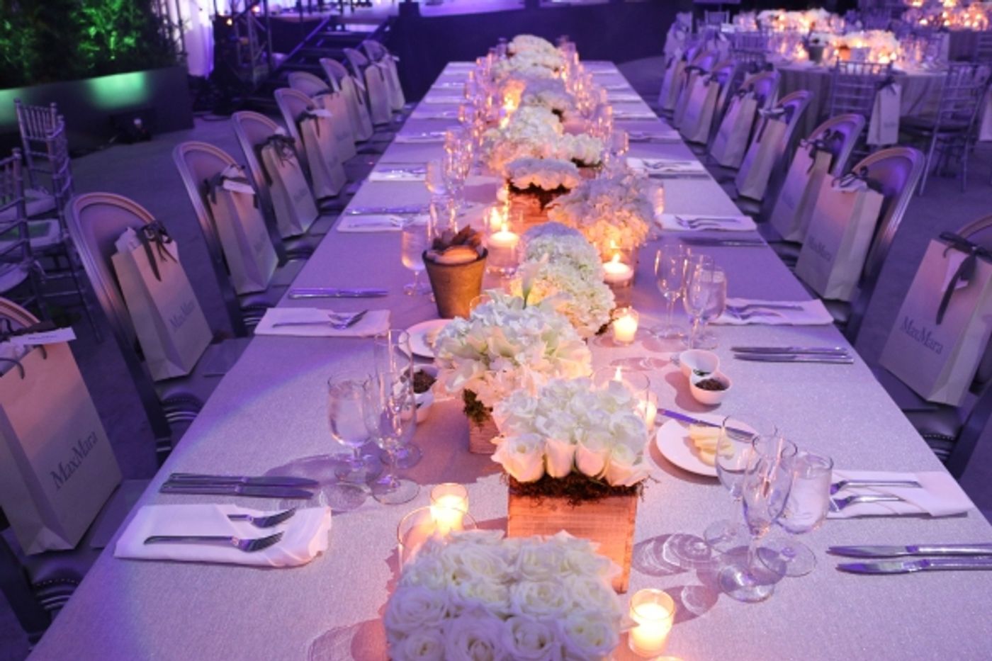 Photo Flash: Rosie Perez, Robert Wilson, Tony Yazbeck and More at YoungArts 2016 Backyard Ball  Image