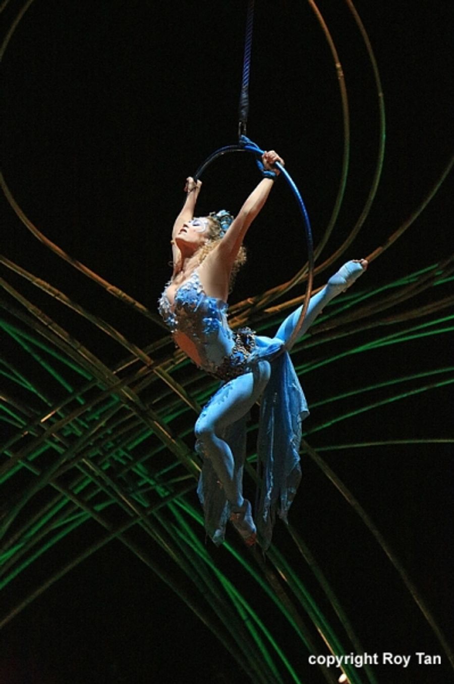 Photo Flash Exclusive: First Look at Cirque du Soleil's AMALUNA at Royal Albert Hall Image