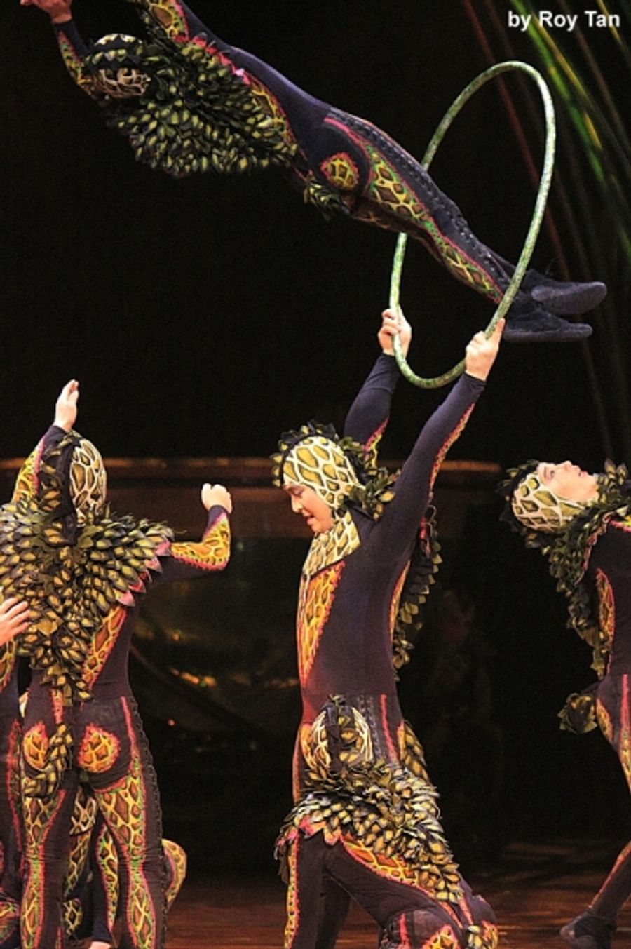 Photo Flash Exclusive: First Look at Cirque du Soleil's AMALUNA at Royal Albert Hall Image