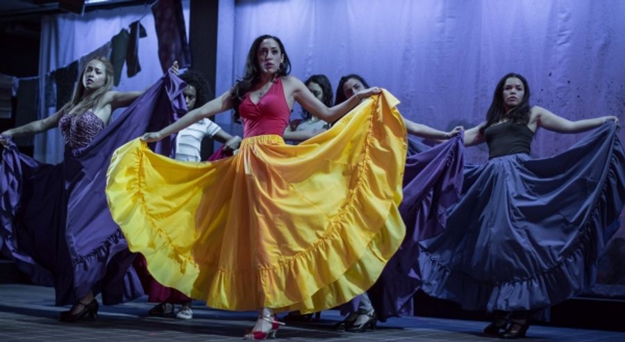 Photo Flash: First Look at Jose Rivera's ANOTHER WORD FOR BEAUTY at Goodman Theatre  Image