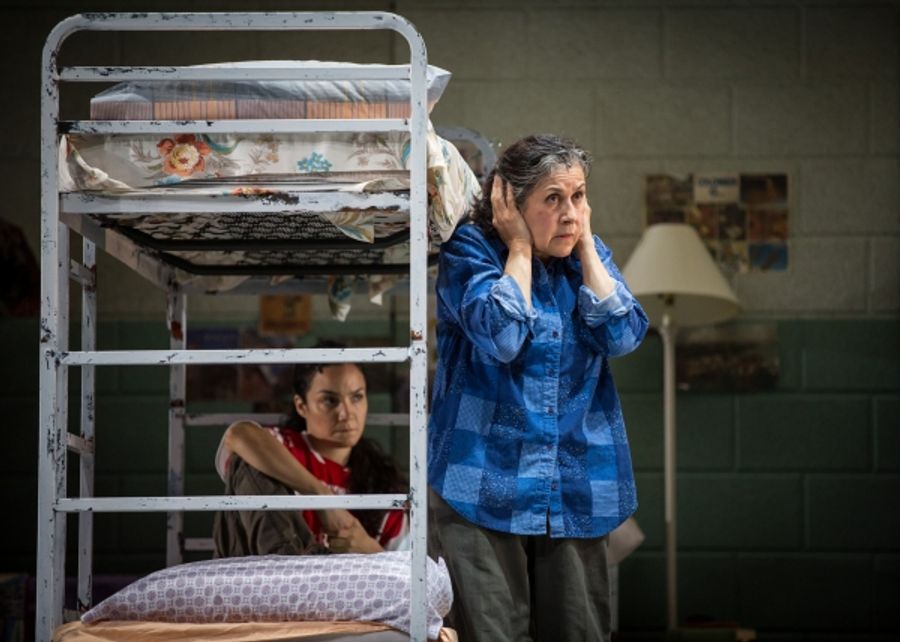 Photo Flash: First Look at Jose Rivera's ANOTHER WORD FOR BEAUTY at Goodman Theatre  Image