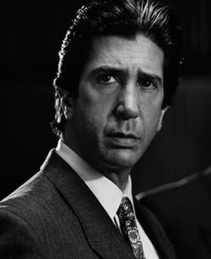 David Schwimmer @ BroadwayWorld David Schwimmer Photo