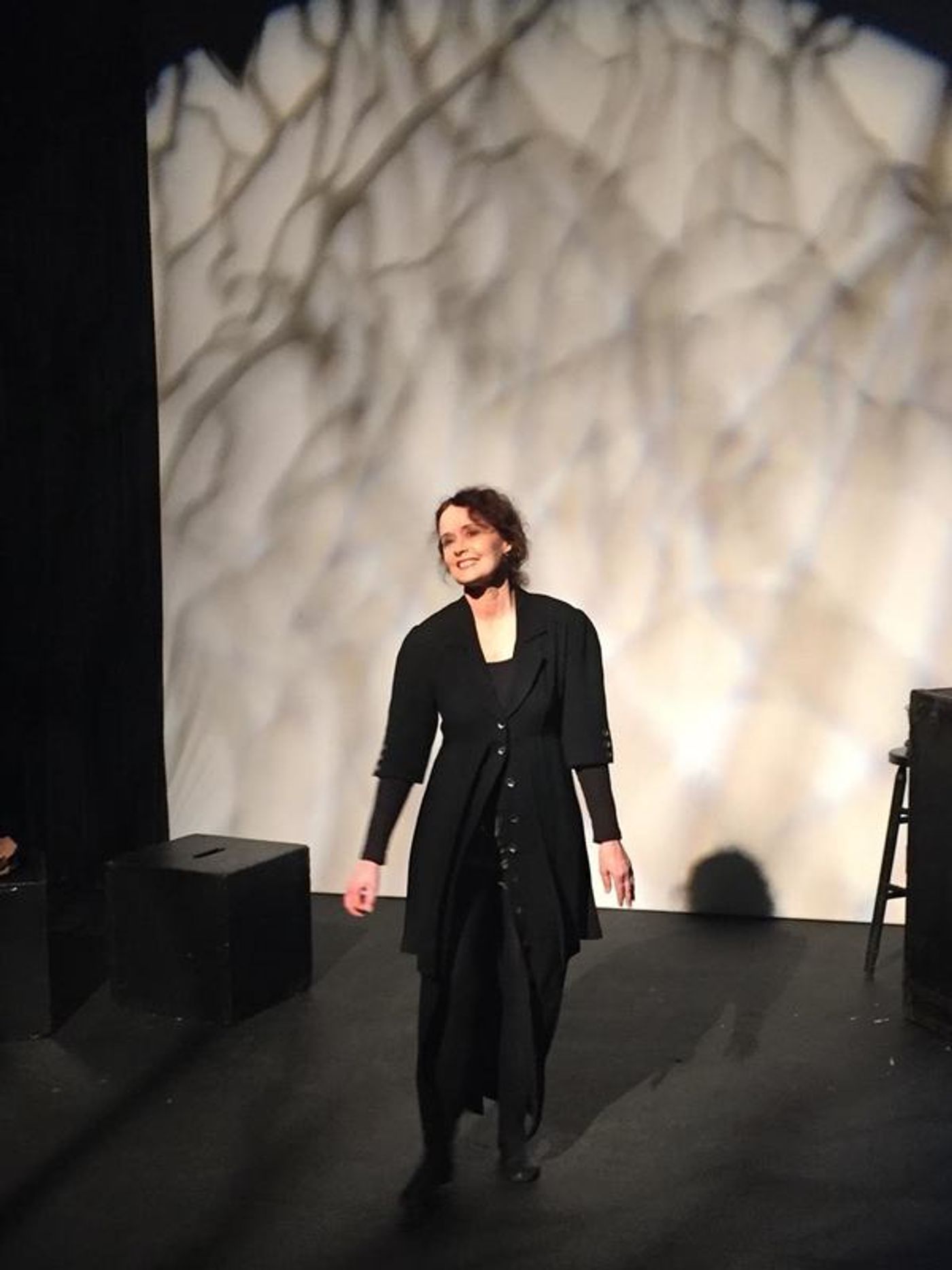 Photo Flash: Maureen Teefy Brings One-Woman Show to Solofest 2016  Image