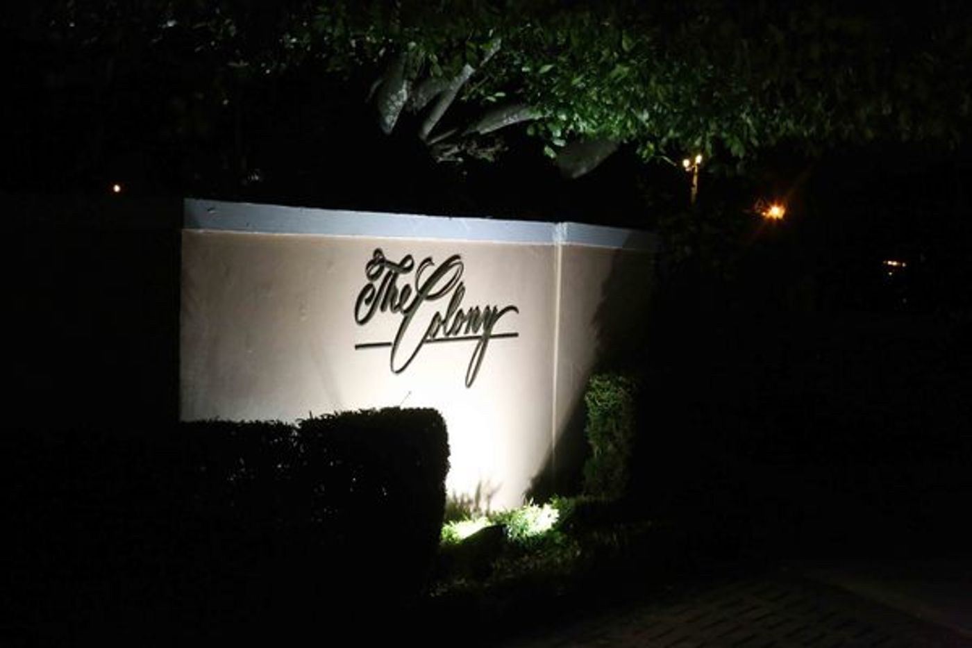 Photo Coverage: Carole J. Bufford Plays The Royal Room at the Colony Hotel  Image