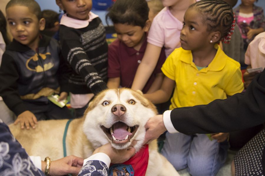 Photo Flash: WKC Dog, Stoli Siberian Husky Ringo, Visits Kids at Homeless Shelter Image