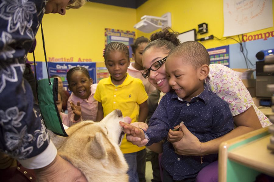 Photo Flash: WKC Dog, Stoli Siberian Husky Ringo, Visits Kids at Homeless Shelter Image
