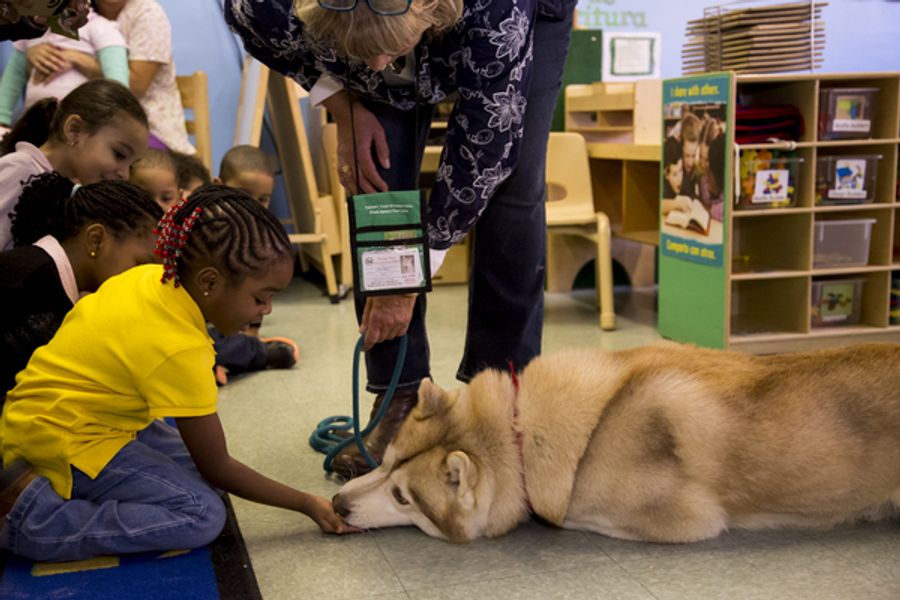 Photo Flash: WKC Dog, Stoli Siberian Husky Ringo, Visits Kids at Homeless Shelter Image