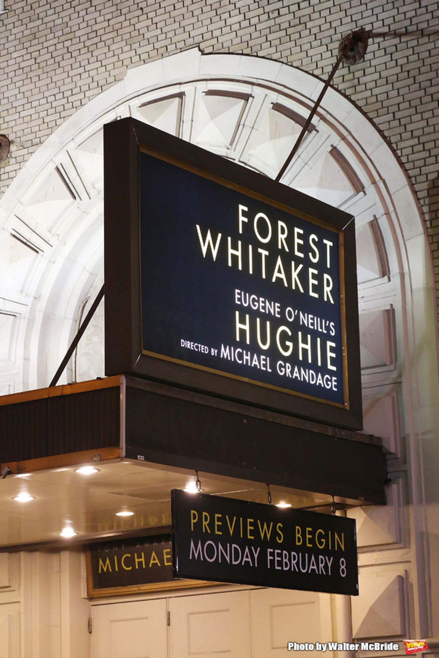 Photo Coverage: Forest Whitaker Takes First Broadway Bows in HUGHIE  Image