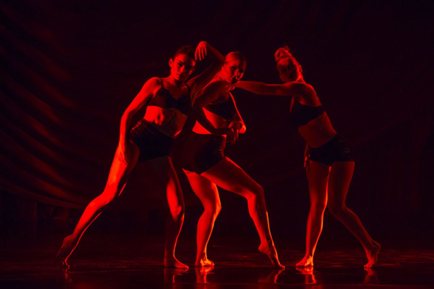 Photo Flash: Stunning Shots of Ricky Ubeda and More in SHAPING SOUND at the Beacon  Image