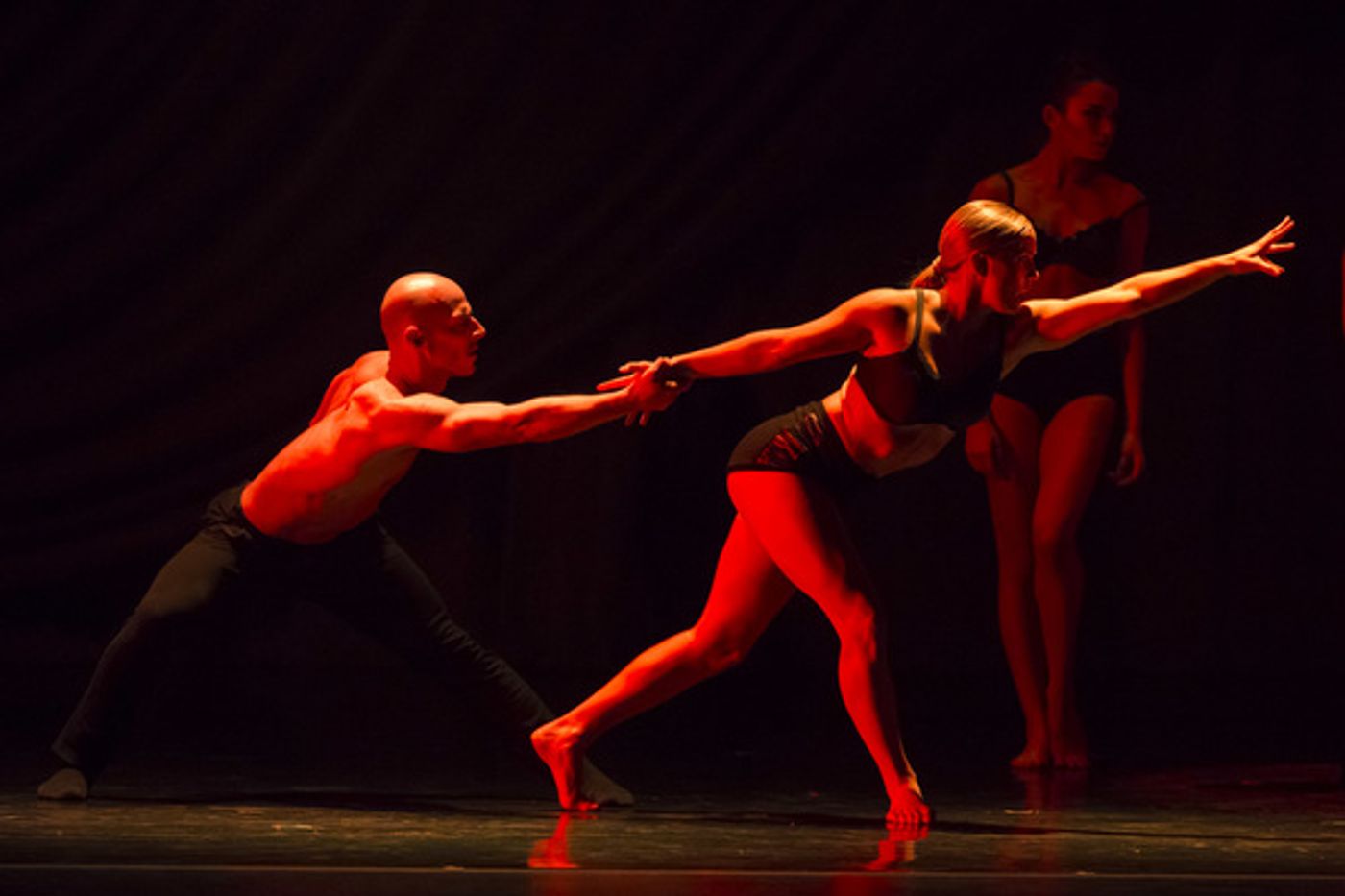 Photo Flash: Stunning Shots of Ricky Ubeda and More in SHAPING SOUND at the Beacon  Image