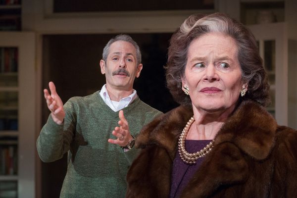 Michael Mendelson, JoAnn Johnson Photo