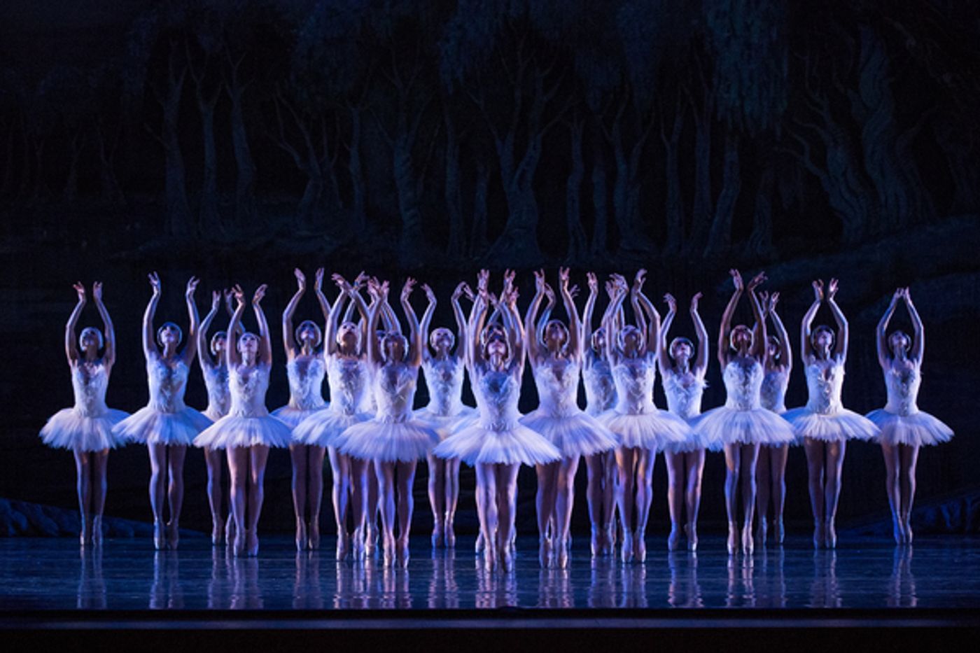Photo Flash: First Look at Kansas City Ballet's SWAN LAKE, Opening Tonight Photo Flash: First Look at Kansas City Ballet's SWAN LAKE, Opening Tonight Image