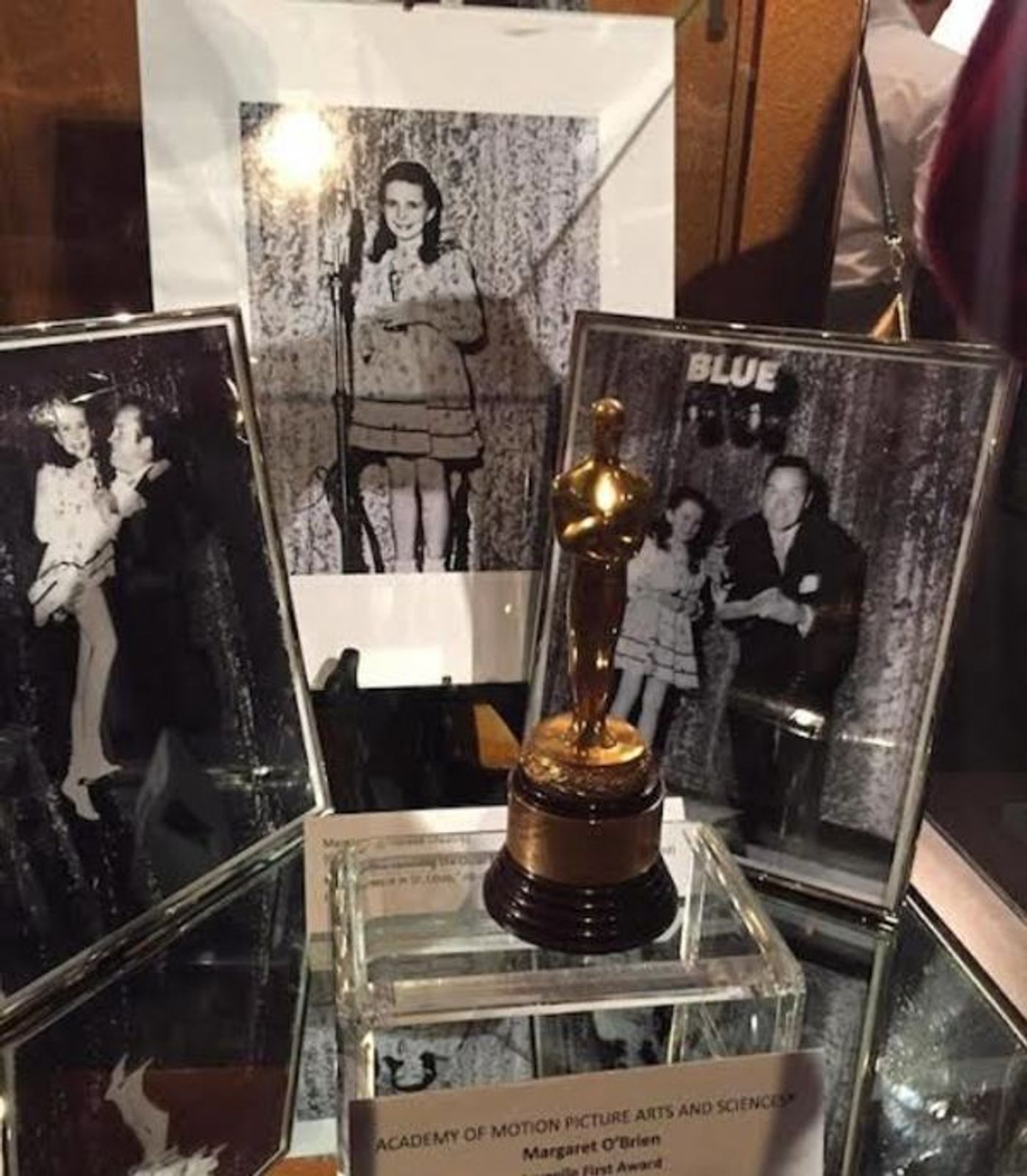 Photo Flash: First Look at Hollywood Museum's Exhibit CELEBRATION OF ENTERTAINMENT AWARDS  Image