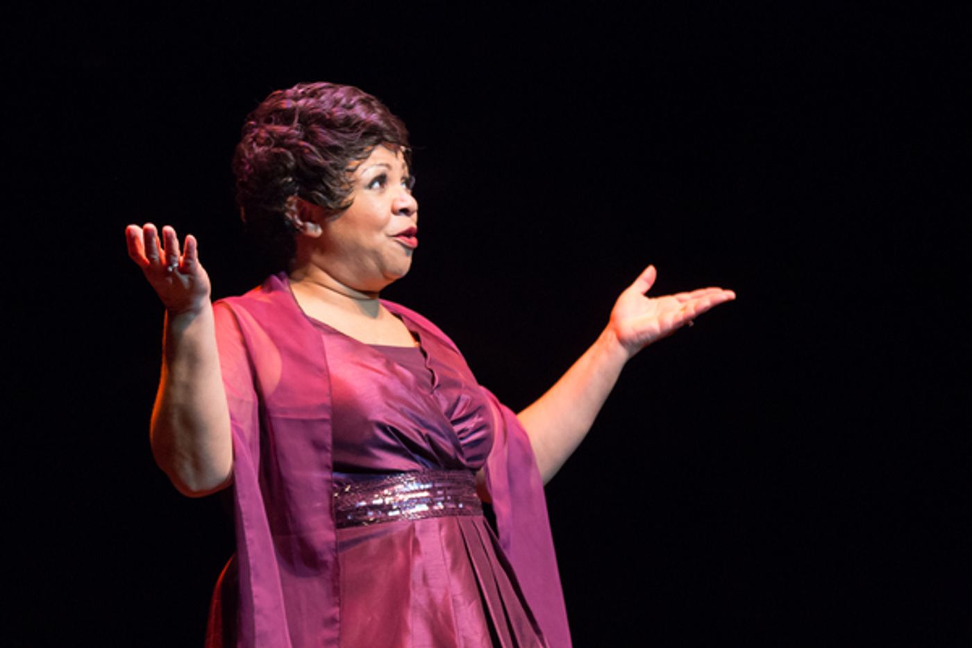 Photo Flash: First Look at Black Ensemble's THOSE SENSATION SOULFUL '60S and DOO WOP SHOO BOP  Image