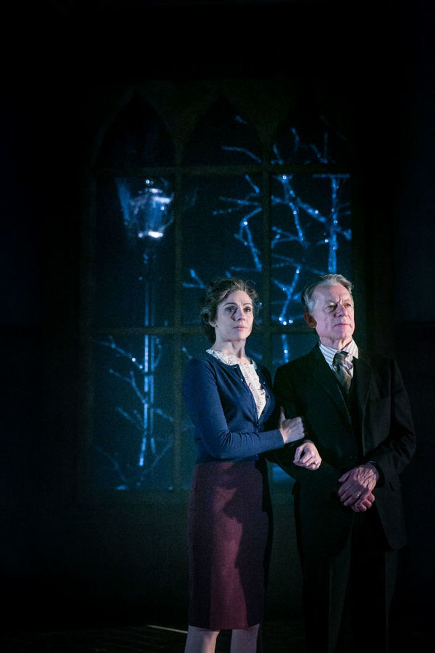 Photo Flash: First Look at Stephen Boxer, Denis Lill and More in the UK Tour of SHADOWLANDS  Image