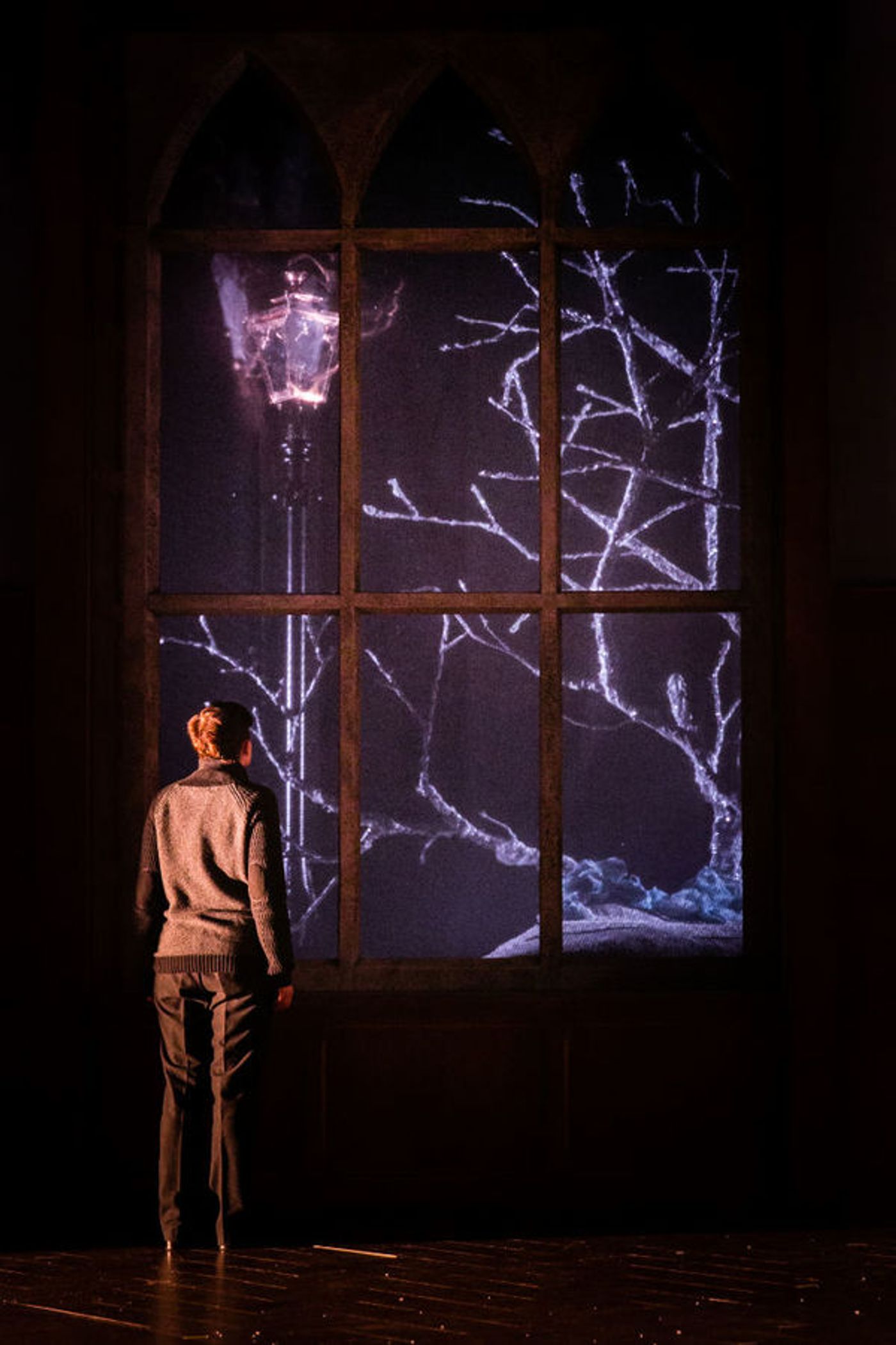 Photo Flash: First Look at Stephen Boxer, Denis Lill and More in the UK Tour of SHADOWLANDS  Image