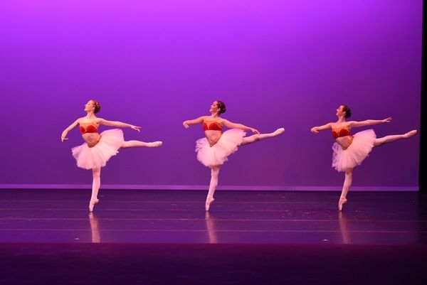 Photo Flash: 120 Talented Young Performers Hit the Stage at 2016 FLORIDA YOUTH DANCE GALA Photo Flash: 120 Talented Young Performers Hit the Stage at 2016 FLORIDA YOUTH DANCE GALA Image