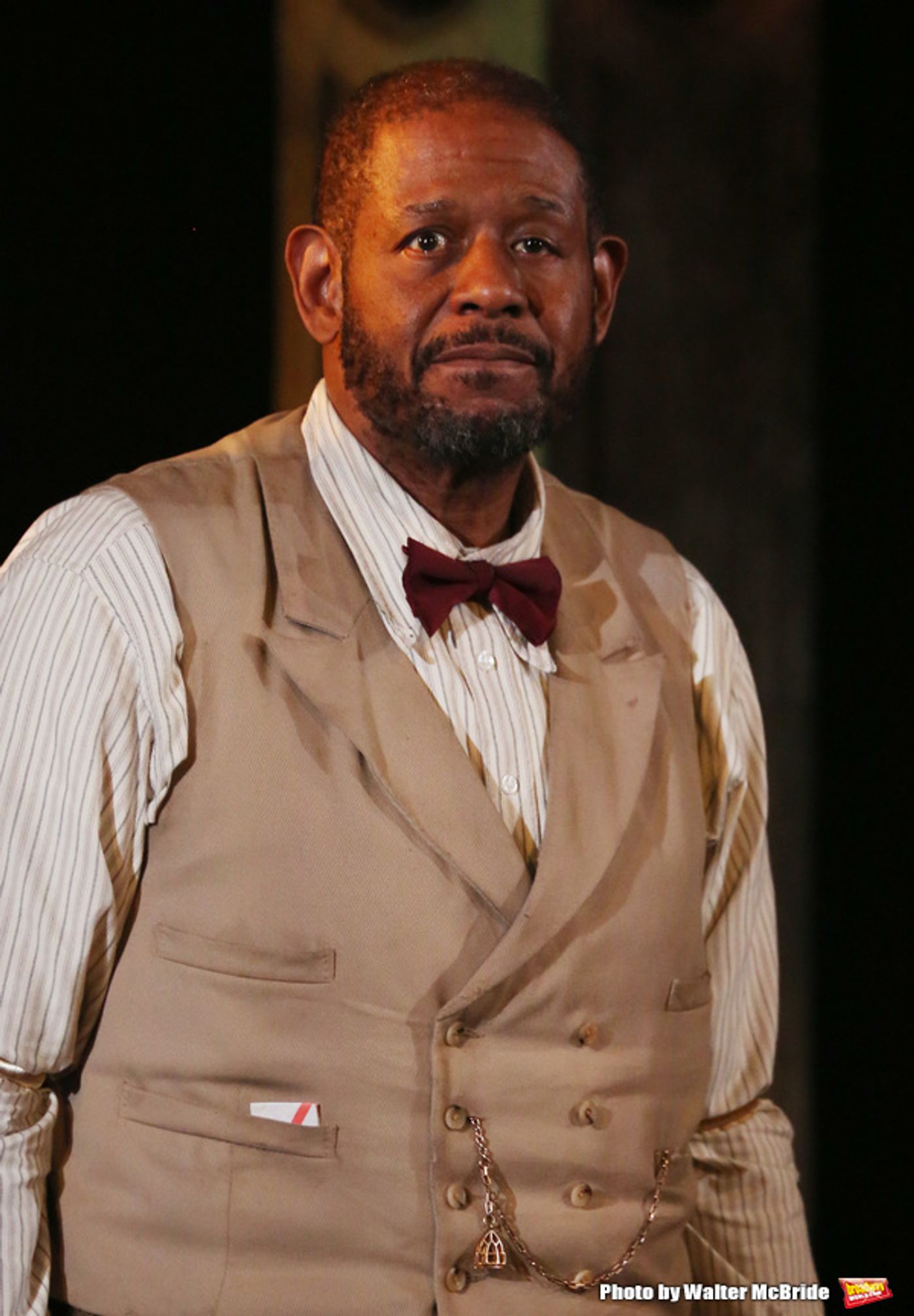 Photo Coverage: Forest Whitaker & Frank Wood Take Opening Night Bows in HUGHIE!  Image