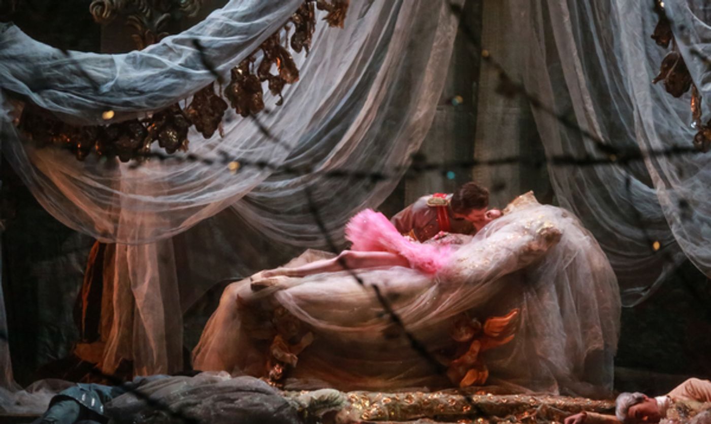 Photo Flash: Houston Ballet Revives THE SLEEPING BEAUTY  Image