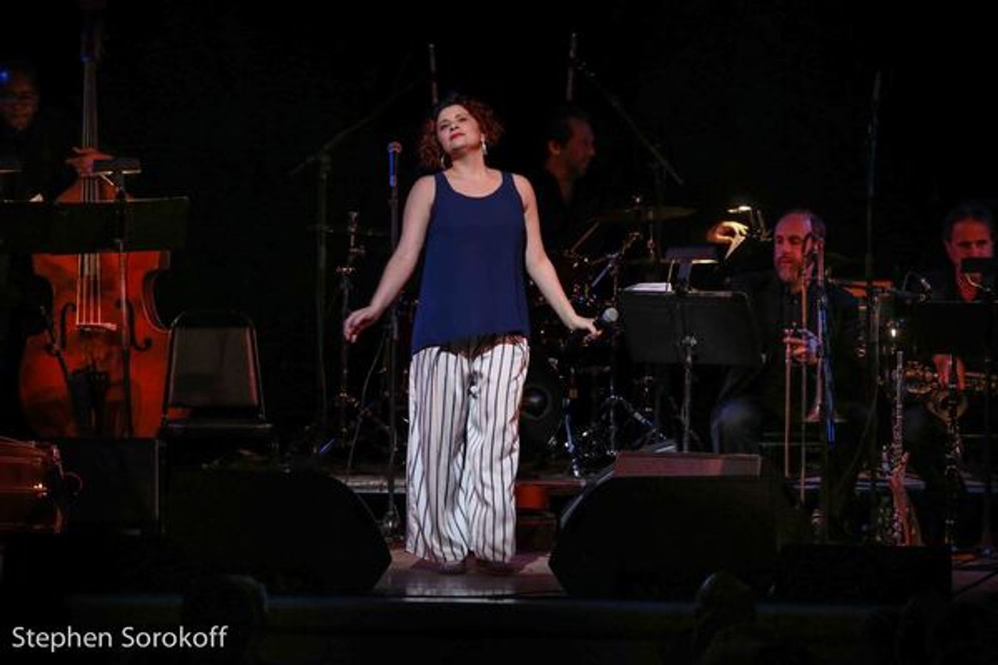 Photo Coverage: Robert Klein Hosts FROM MOSES TO MOSTEL at The Town Hall  Image