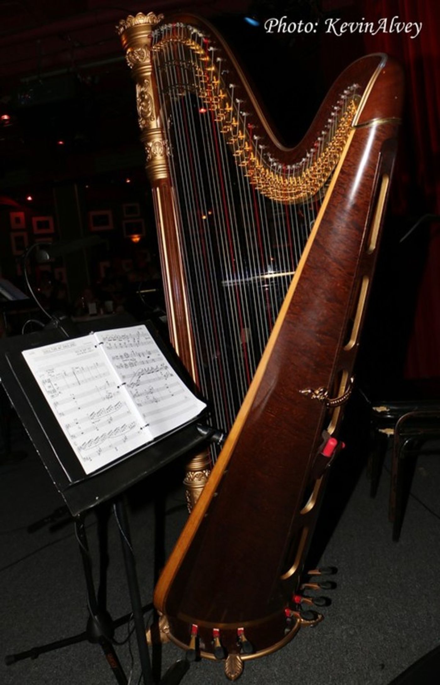 Photo Flash: Bill Russell's ELEGIES FOR ANGELS, PUNKS AND RAGING QUEENS BC/EFA Benefit Plays Birdland  Image