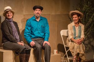 Sherri Mandell (Author), Todd Salovey (Adaptor/), and Lisa Robins Photo