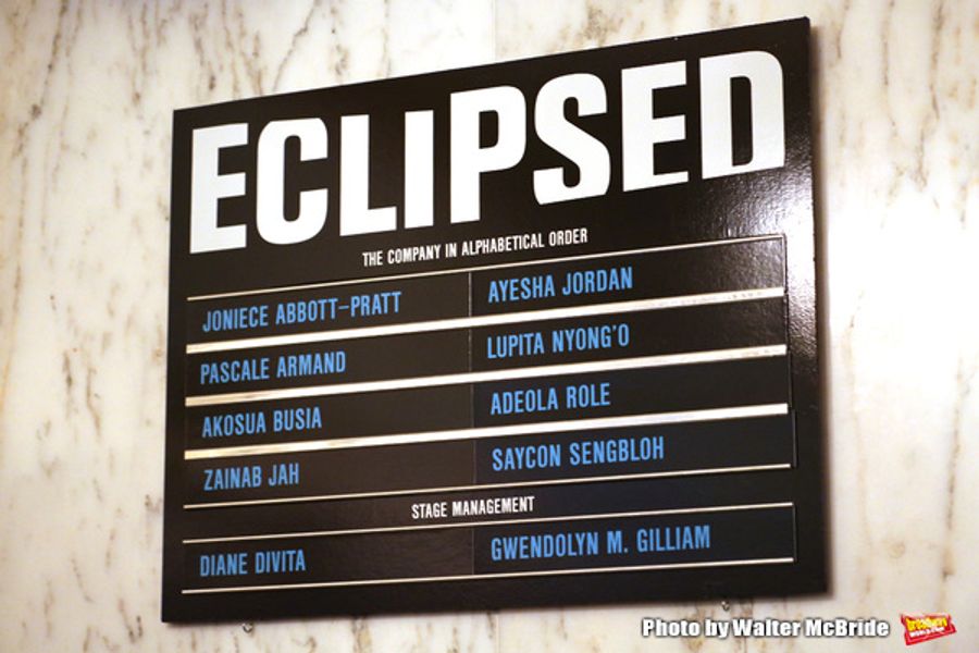 Photo Coverage: ECLIPSED Arrives on Broadway! Inside the Opening Night Bows Image