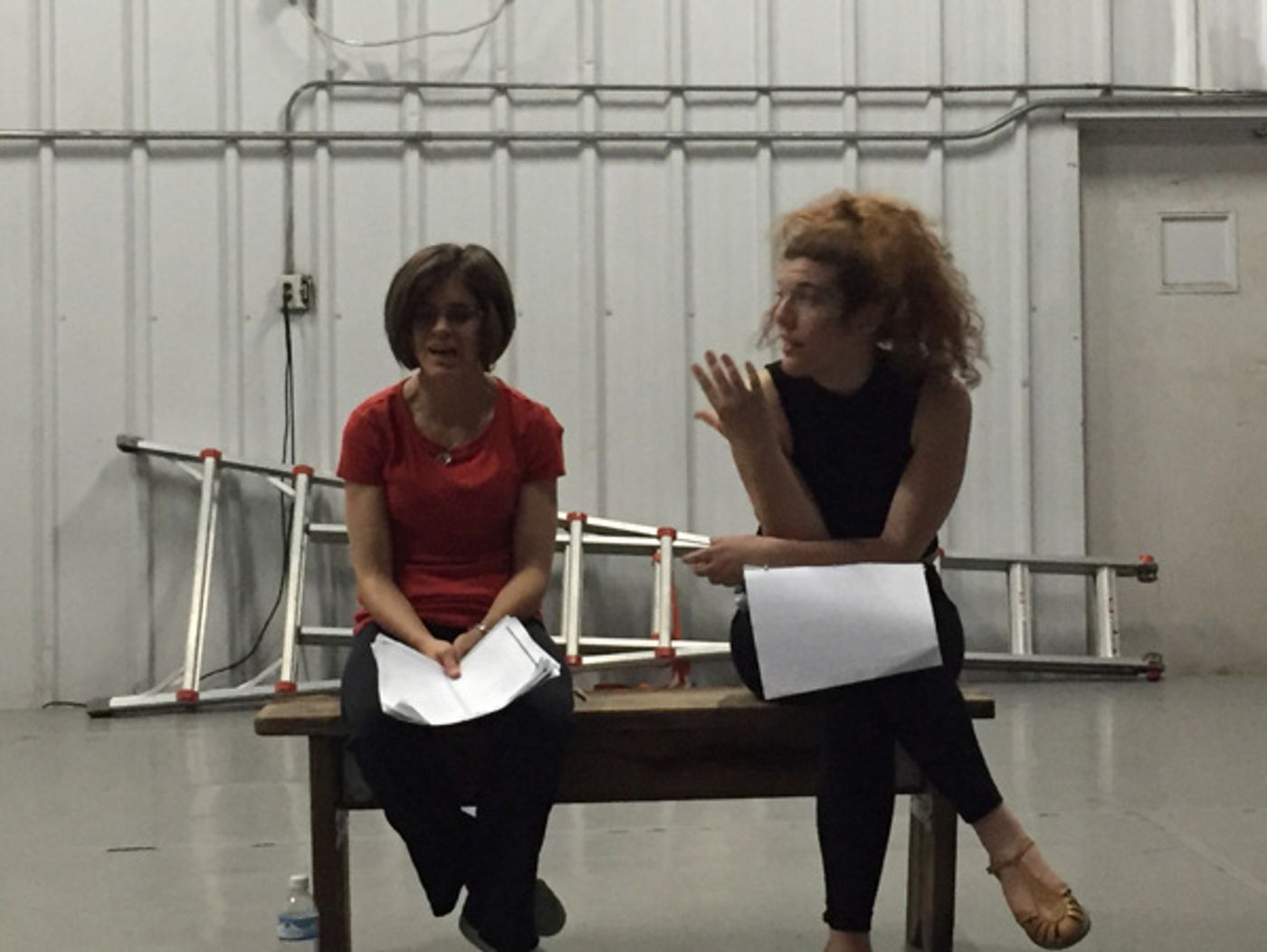 Photo Flash: Meet the Stars of Firecracker's Gender-Swapped Version of THE DUCK VARIATIONS  Image