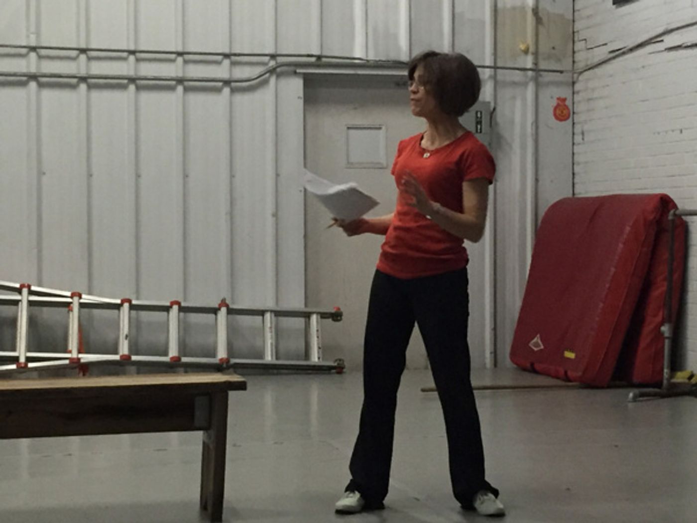 Photo Flash: Meet the Stars of Firecracker's Gender-Swapped Version of THE DUCK VARIATIONS  Image