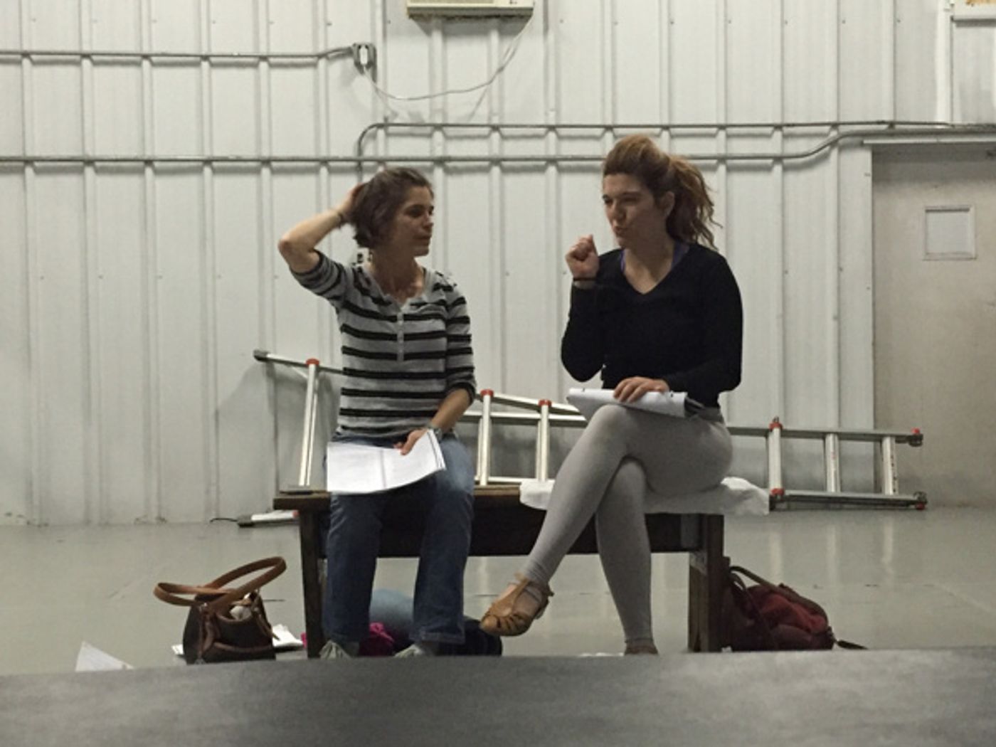 Photo Flash: Meet the Stars of Firecracker's Gender-Swapped Version of THE DUCK VARIATIONS  Image