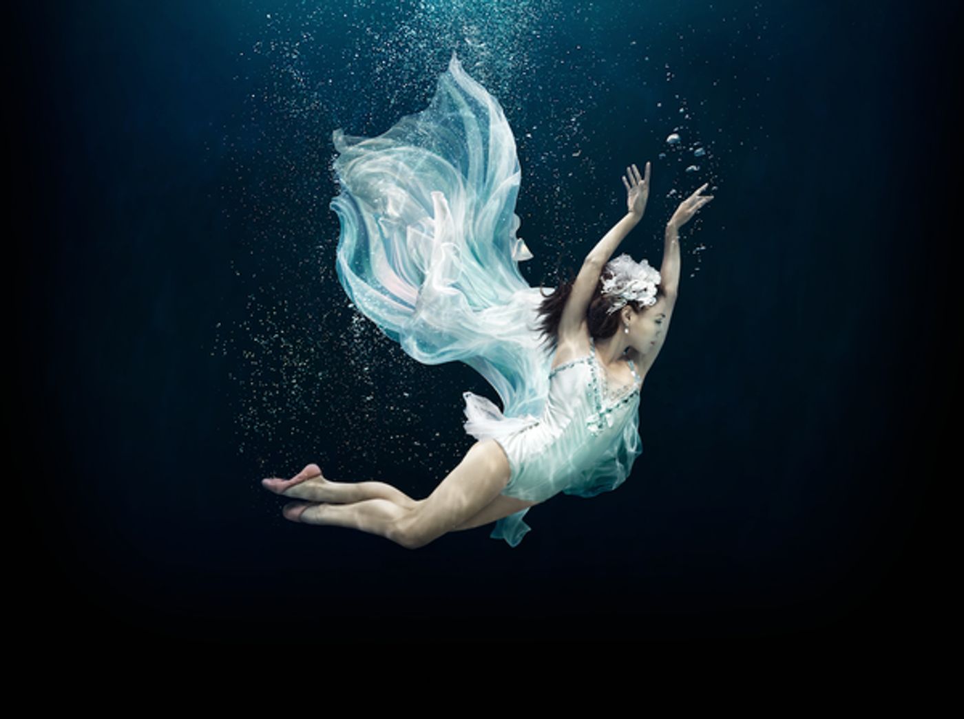 Photo Flash: First Look at the Cast of Miami City Ballet's A MIDSUMMER NIGHT'S DREAM Image