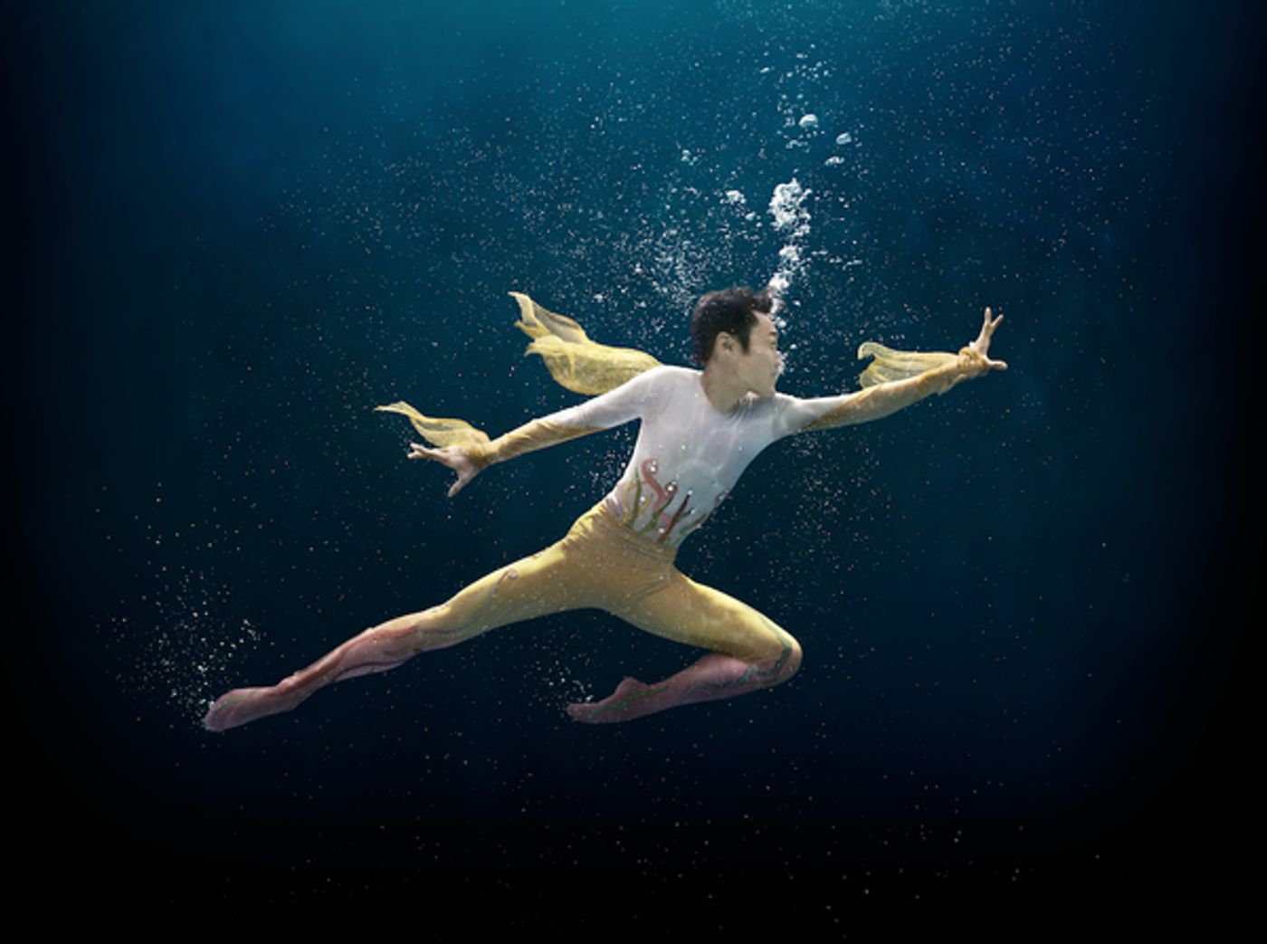 Photo Flash: First Look at the Cast of Miami City Ballet's A MIDSUMMER NIGHT'S DREAM Image