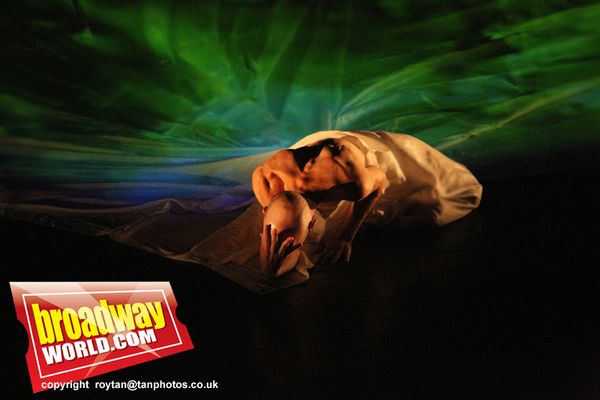 Photo Coverage: FOR NOW, I AM At Sadler's Wells — photo 4 of 7