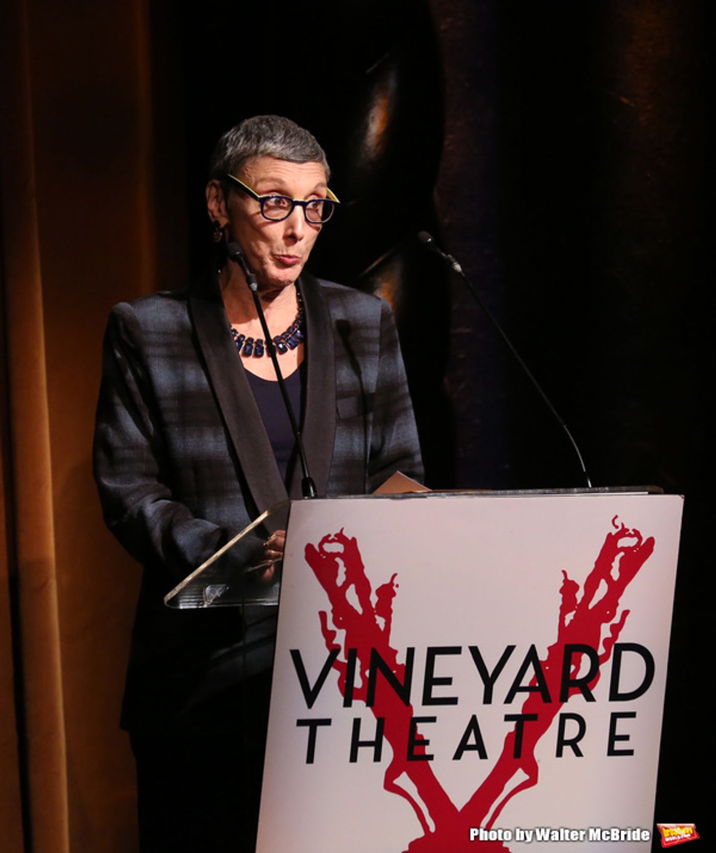 Photo Coverage: Go Inside Vineyard Theatre's 2016 Gala, Honoring Kathleen Chalfant & Sam Rudy!  Image
