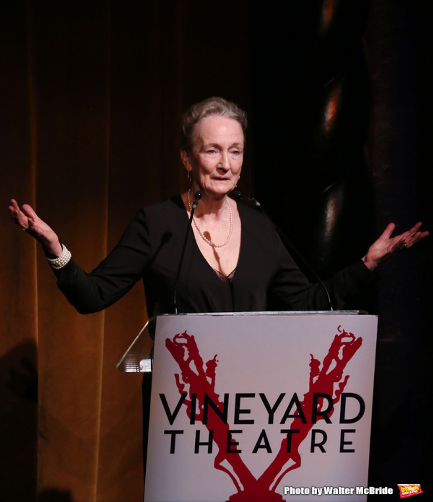Photo Coverage: Go Inside Vineyard Theatre's 2016 Gala, Honoring Kathleen Chalfant & Sam Rudy!  Image
