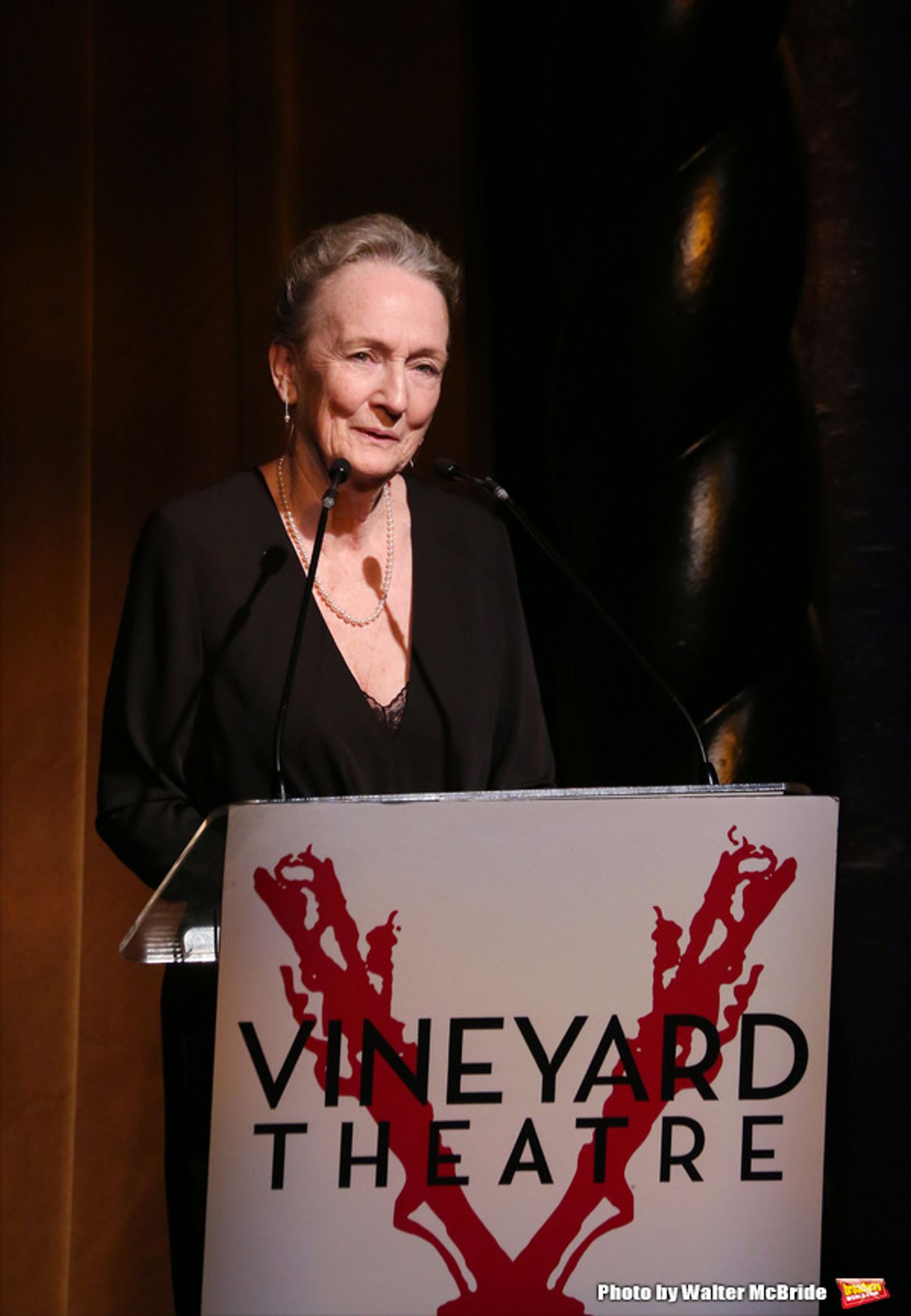 Photo Coverage: Go Inside Vineyard Theatre's 2016 Gala, Honoring Kathleen Chalfant & Sam Rudy!  Image