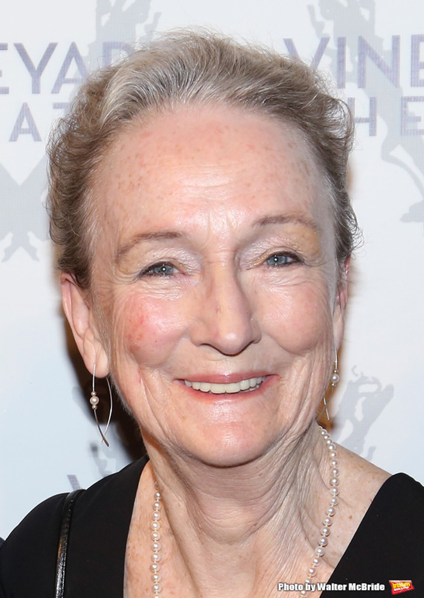 Photo Coverage: On the Red Carpet for Vineyard Theatre's 2016 Gala!  Image