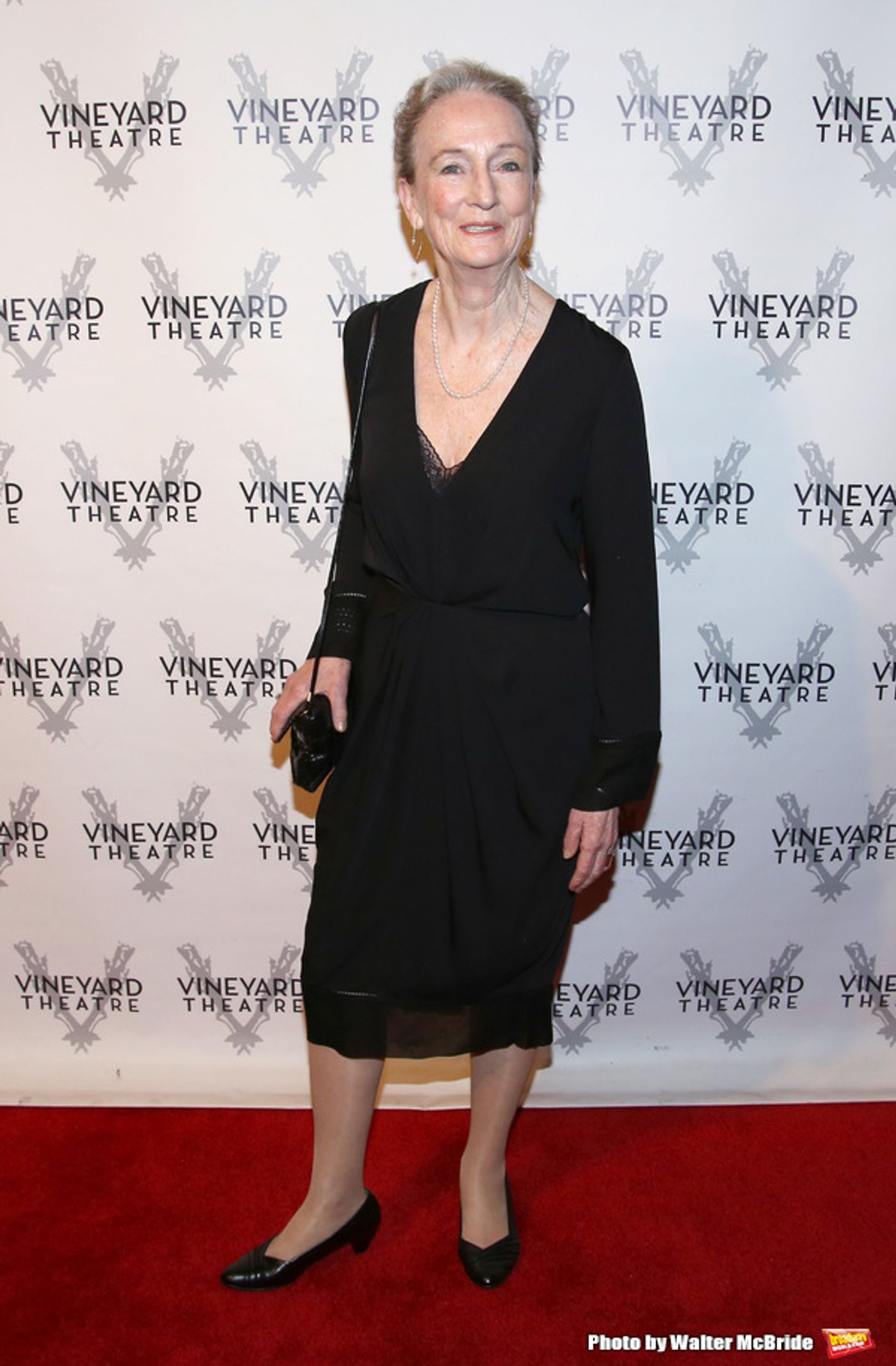 Photo Coverage: On the Red Carpet for Vineyard Theatre's 2016 Gala!  Image