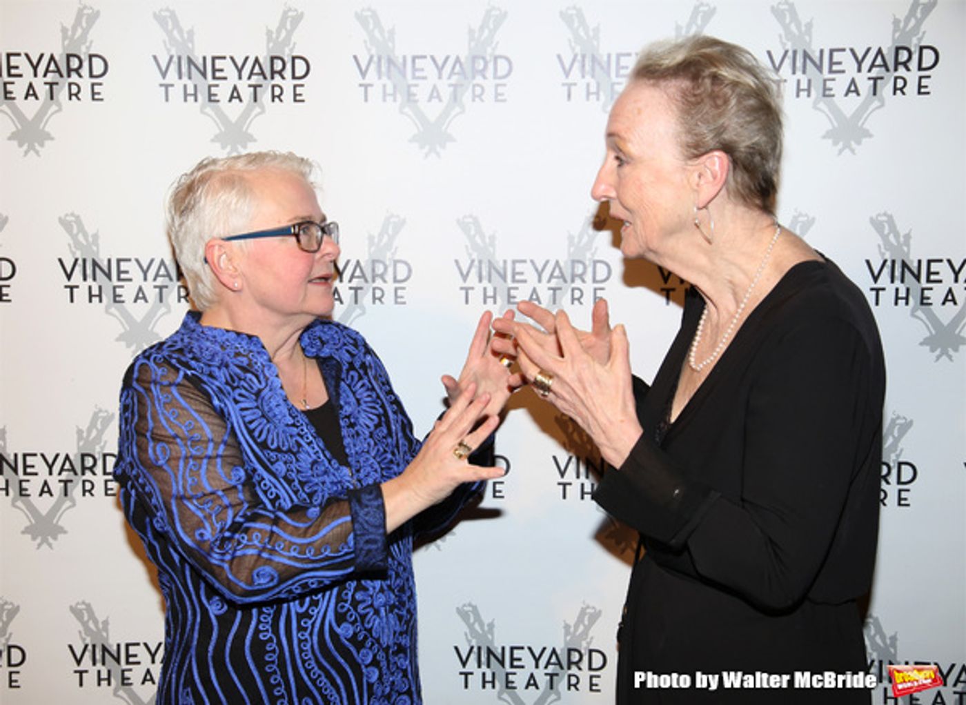 Photo Coverage: On the Red Carpet for Vineyard Theatre's 2016 Gala!  Image