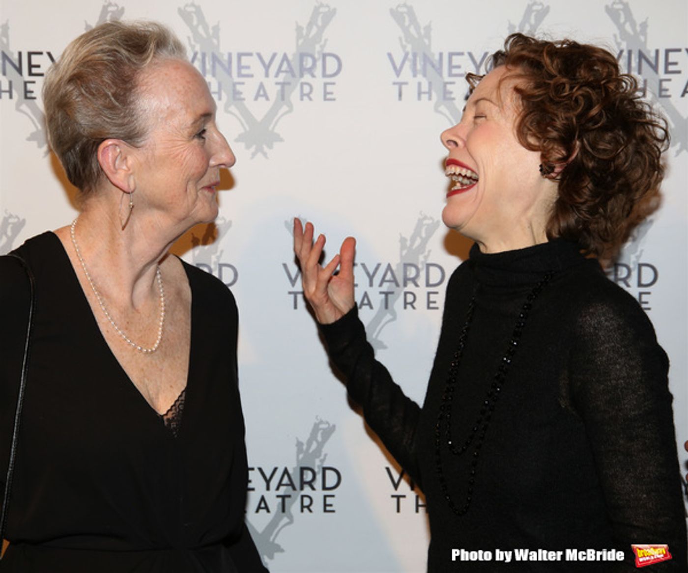 Photo Coverage: On the Red Carpet for Vineyard Theatre's 2016 Gala!  Image