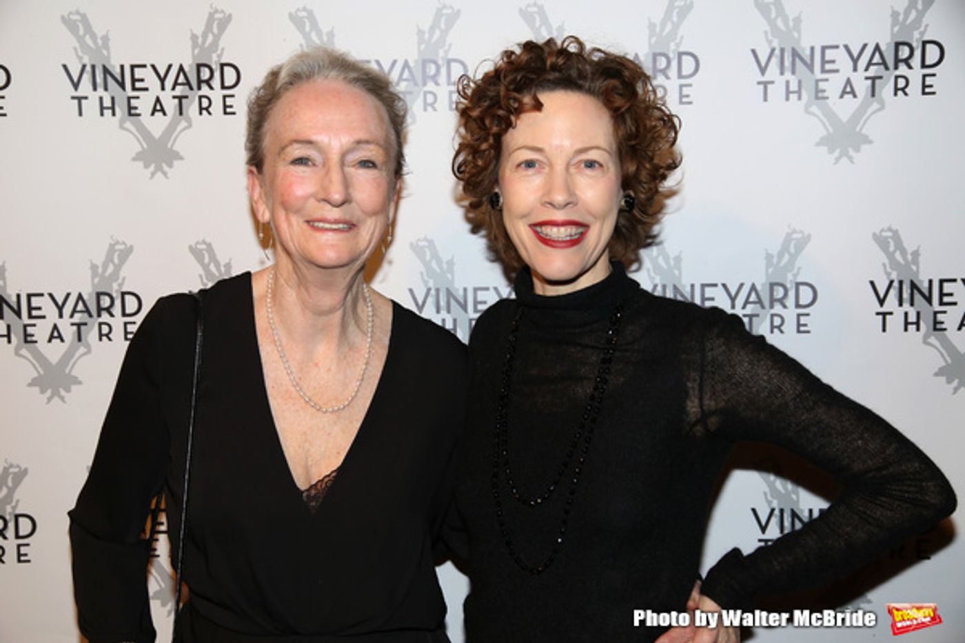 Photo Coverage: On the Red Carpet for Vineyard Theatre's 2016 Gala!  Image