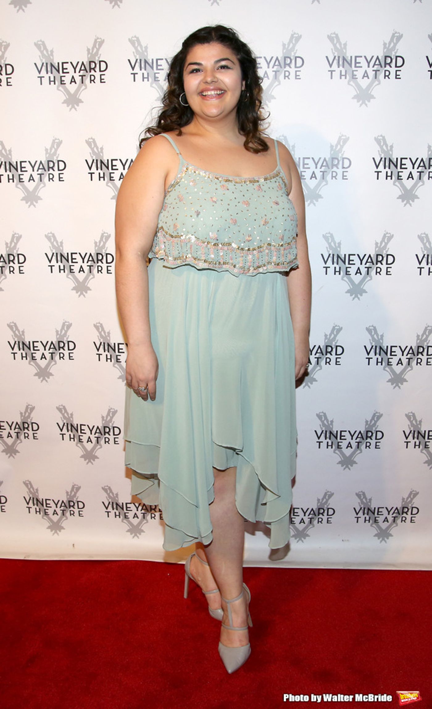 Photo Coverage: On the Red Carpet for Vineyard Theatre's 2016 Gala!  Image